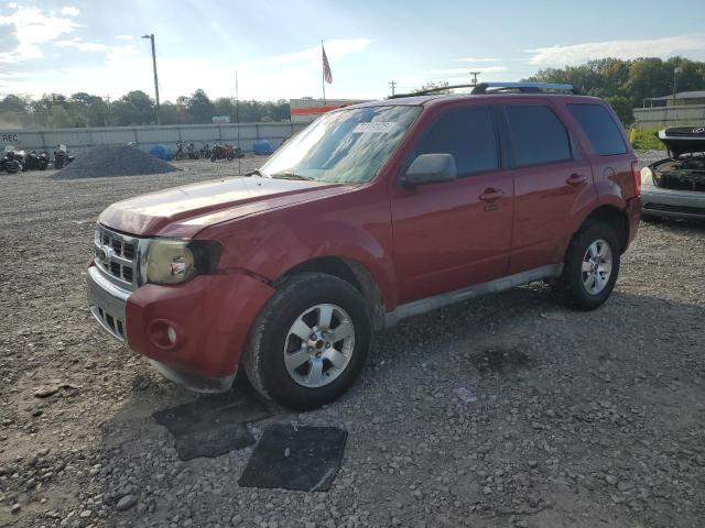 FORD ESCAPE LIMITED 2010 with VIN 1FMCU0EGXAKB77549 - Photo from auction