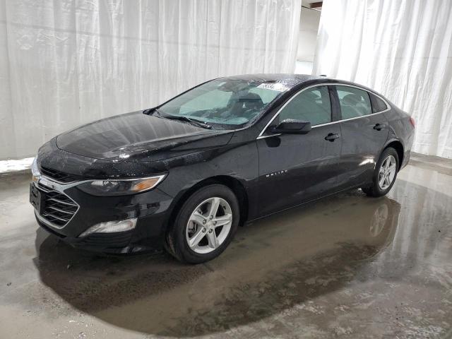 CHEVROLET MALIBU LT 2024 with VIN 1G1ZD5ST4RF215254 - Photo from auction
