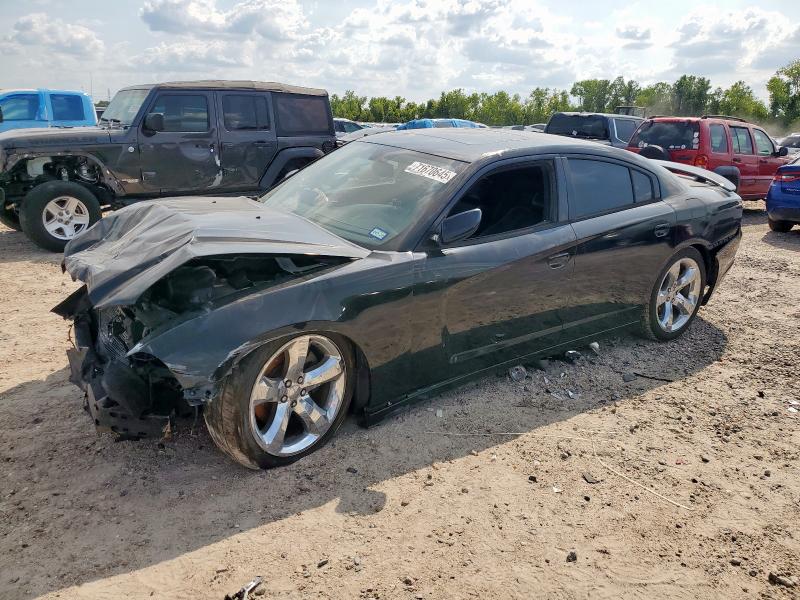 DODGE CHARGER R/ 2013 with VIN 2C3CDXCT9DH666585 - Photo from auction