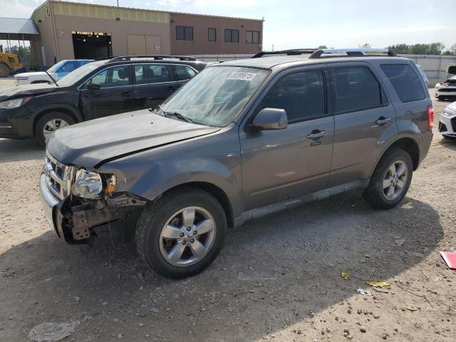 FORD ESCAPE LIM 2010 with VIN 1FMCU0E7XAKD10987 - Photo from auction