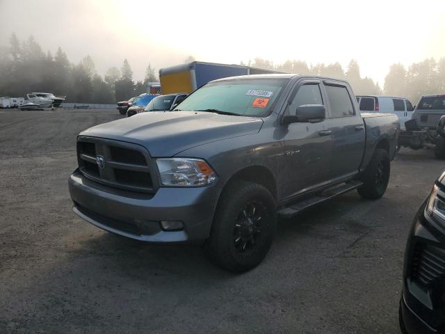 DODGE RAM 1500 2009 with VIN 1D3HV13T79S789918 - Photo from auction