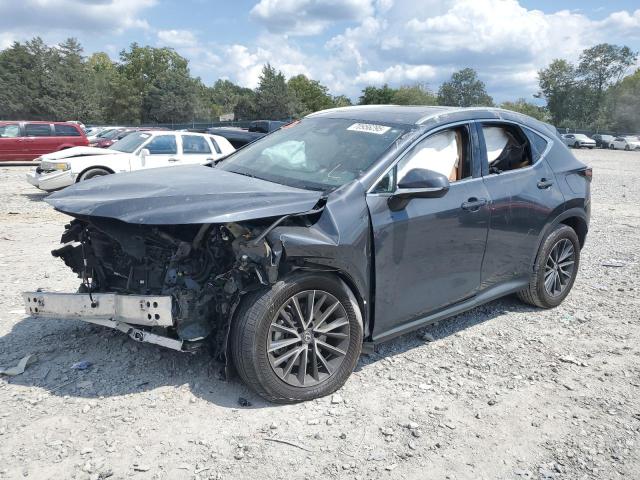 LEXUS NX 350 2022 with VIN 2T2AGCEZ0NC003241 - Photo from auction
