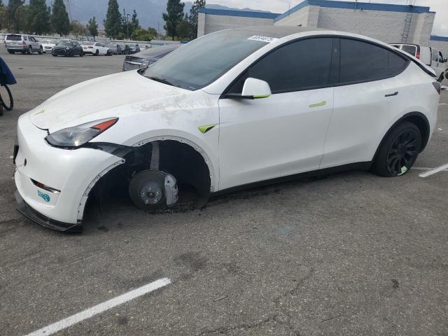 TESLA MODEL Y 2025 with VIN 7SAYGDEE8SF218902 - Photo from auction