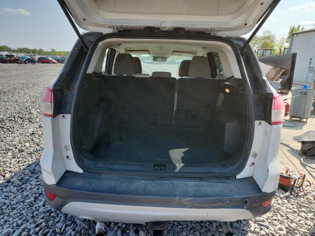 Photo 6 from auction – 2014 FORD ESCAPE SE with VIN 1FMCU0G91EUE35546