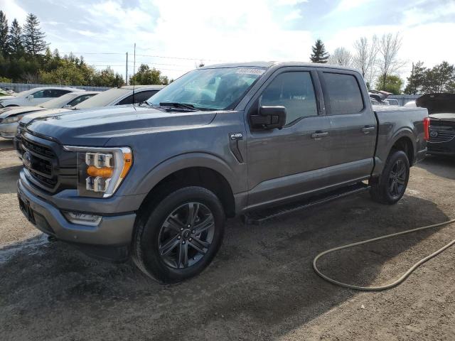 FORD F150 SUPERCREW 2023 with VIN 1FTEW1EPXPKF51731 - Photo from auction