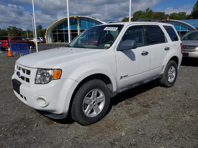 Photo 1 from auction – 2009 FORD ESCAPE HYB with VIN 1FMCU59379KA25311