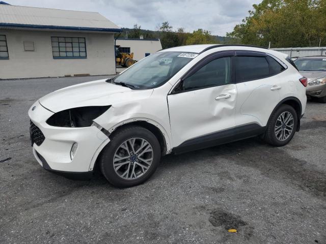 FORD ESCAPE SEL 2020 with VIN 1FMCU9H62LUA04364 - Photo from auction