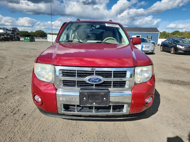 Photo 5 from auction – 2010 FORD ESCAPE LIM with VIN 1FMCU9EG0AKC06481