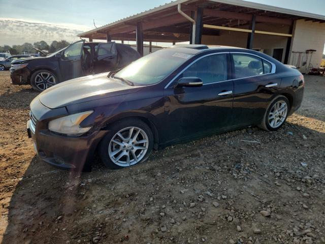 NISSAN MAXIMA S 2010 with VIN 1N4AA5APXAC858320 - Photo from auction