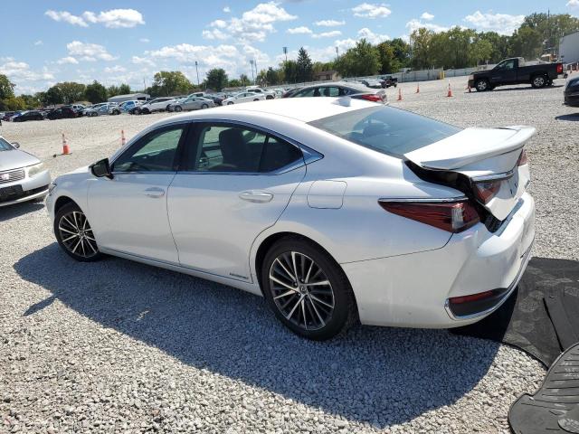 Photo 2 from auction – 2022 LEXUS ES 300H BASE with VIN 58ADA1C13NU019140