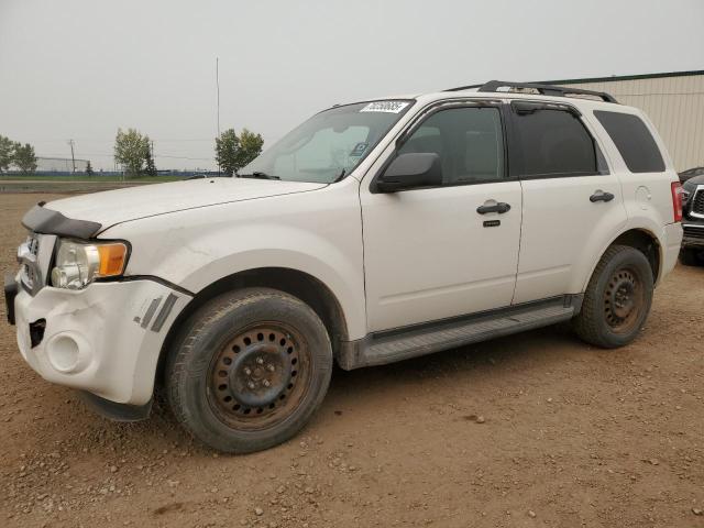 FORD ESCAPE XLT 2009 with VIN 1FMCU93G49KA35491 - Photo from auction