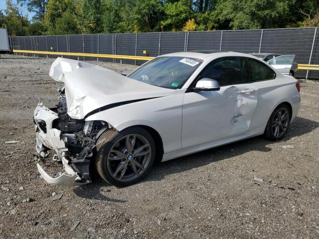 BMW M235I 2015 with VIN WBA1J7C5XFV289530 - Photo from auction