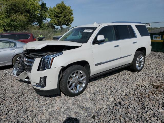 CADILLAC ESCALADE P 2017 with VIN 1GYS4CKJ8HR188997 - Photo from auction