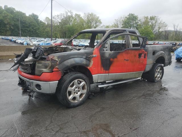 FORD F150 SUPER 2014 with VIN 1FTFX1EF8EKF85981 - Photo from auction