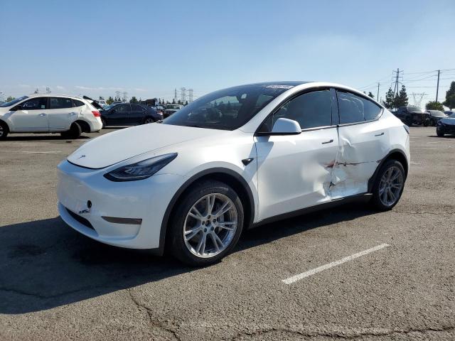 TESLA MODEL Y 2023 with VIN 7SAYGDEE1PA146395 - Photo from auction