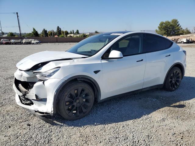 TESLA MODEL Y 2023 with VIN 7SAYGDEE0PA110021 - Photo from auction