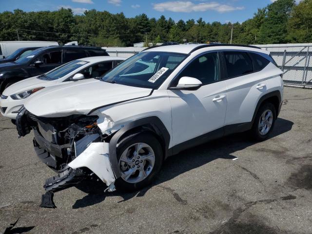 HYUNDAI TUCSON SEL 2023 with VIN 5NMJBCAE5PH203373 - Photo from auction