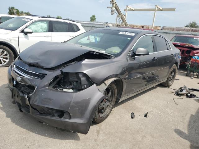 CHEVROLET MALIBU LS 2012 with VIN 1G1ZB5E03CF282572 - Photo from auction
