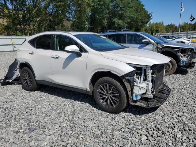 Photo 4 from auction – 2022 LEXUS NX 350 with VIN 2T2GGCEZ4NC005777