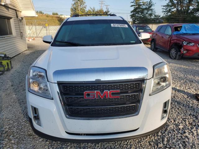Photo 5 from auction – 2010 GMC TERRAIN SLE with VIN 2CTFLEEY6A6361050