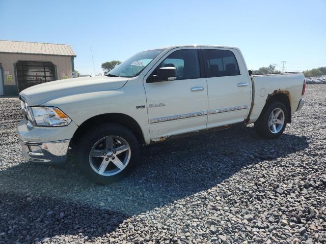 DODGE RAM 1500 2010 with VIN 1D7RV1CT3AS227263 - Photo from auction
