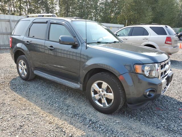 Photo 4 from auction – 2009 FORD ESCAPE LIM with VIN 1FMCU04G89KA17506