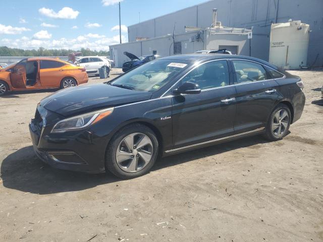 HYUNDAI SONATA HYB 2016 with VIN KMHE34L16GA020018 - Photo from auction