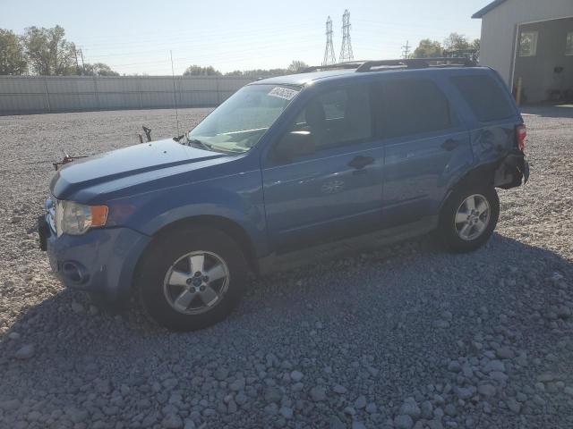 FORD ESCAPE XLT 2010 with VIN 1FMCU0D75AKB12061 - Photo from auction