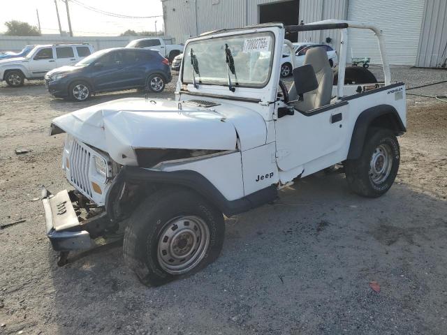JEEP WRANGLER / 1993 with VIN 1J4FY19P7PP237637 - Photo from auction