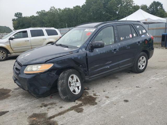HYUNDAI SANTA FE G 2009 with VIN 5NMSG13DX9H328967 - Photo from auction