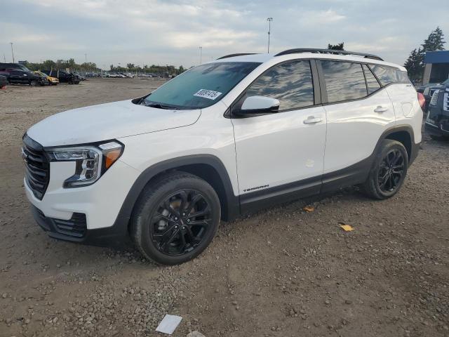 GMC TERRAIN SL 2022 with VIN 3GKALTEV9NL232144 - Photo from auction