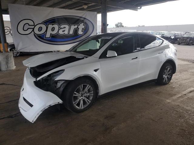 TESLA MODEL Y 2023 with VIN 7SAYGDEE6PF826909 - Photo from auction