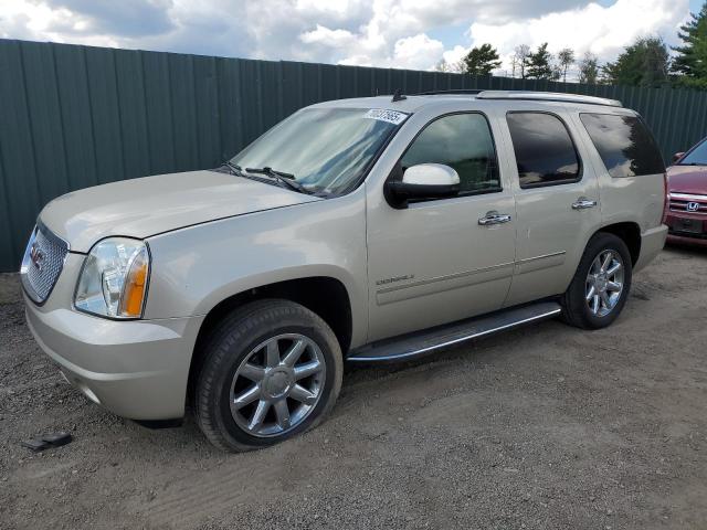 GMC YUKON DENA 2013 z numerem VIN 1GKS2EEF8DR287624 - Zdjęcie z aukcji