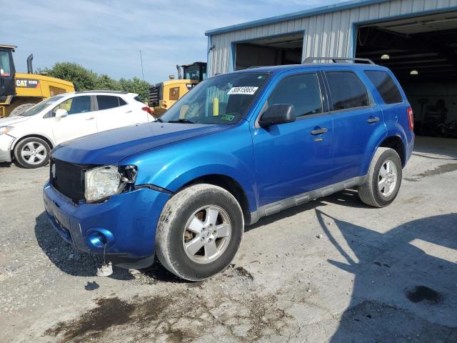 FORD ESCAPE XLT 2011 with VIN 1FMCU0D75BKA25729 - Photo from auction
