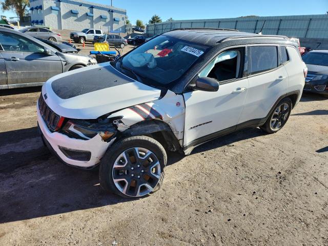 JEEP COMPASS TR 2018 with VIN 3C4NJDDBXJT169176 - Photo from auction