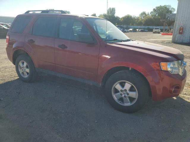 Photo 4 from auction – 2011 FORD ESCAPE XLT with VIN 1FMCU0D70BKB90541