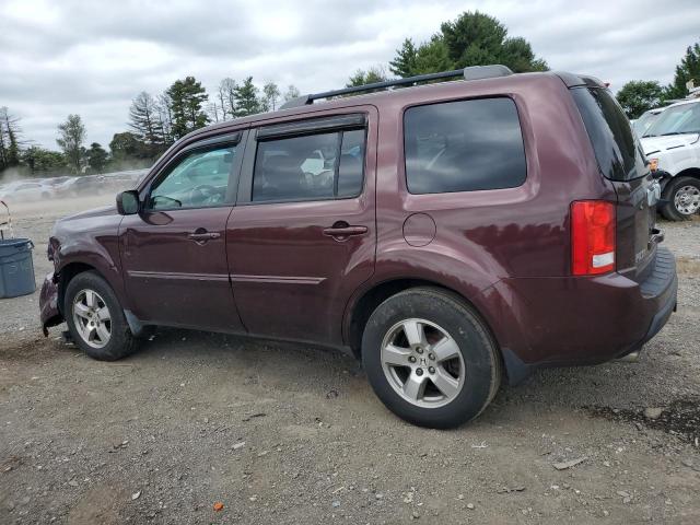 Photo 2 from auction – 2010 HONDA PILOT EXL with VIN 5FNYF4H5XAB009137