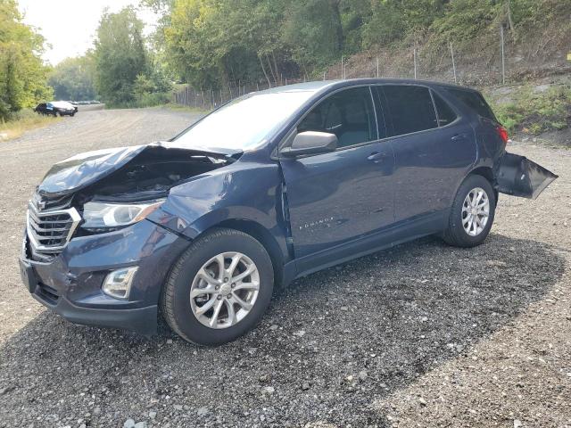 CHEVROLET EQUINOX LS 2018 with VIN 3GNAXHEV5JS503771 - Photo from auction
