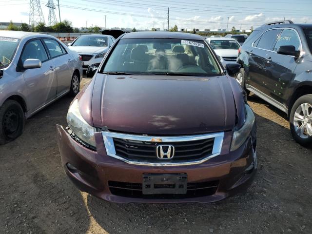 Photo 5 from auction – 2010 HONDA ACCORD EXL with VIN 5KBCP3F82AB010623