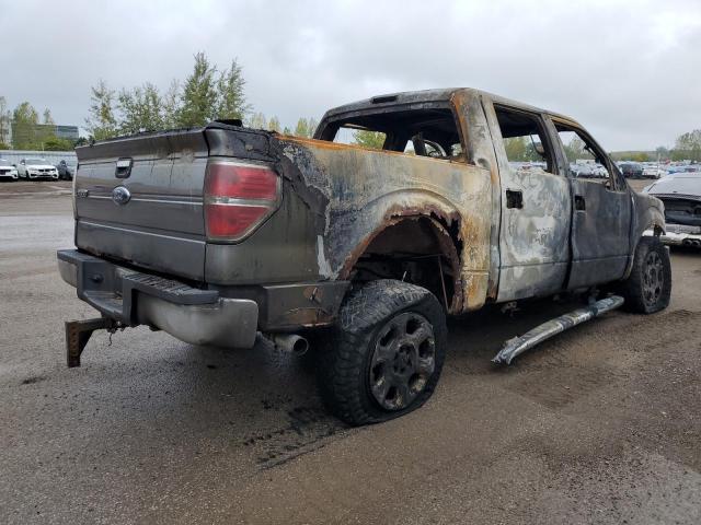 Photo 3 from auction – 2009 FORD F150 SUPER with VIN 1FTRW14849FA30902