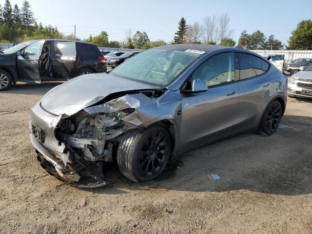 TESLA MODEL Y 2024 with VIN 7SAYGDEE7RF182680 - Photo from auction