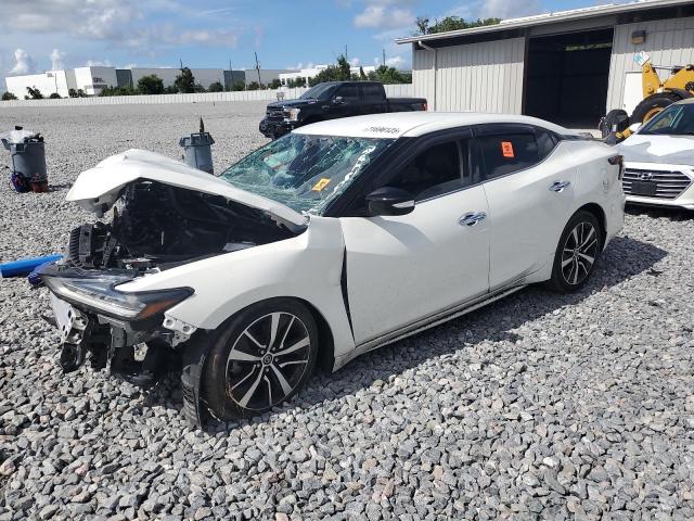 NISSAN MAXIMA SV 2021 with VIN 1N4AA6CV1MC501047 - Photo from auction