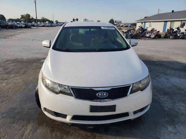 Фото 5 с аукциона – 2012 KIA FORTE EX с VIN KNAFU4A23C5578717