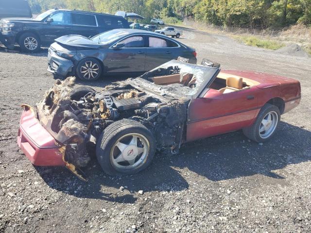 Photo 1 from auction – 1990 CHEVROLET CORVETTE with VIN 1G1YY3382L5105833