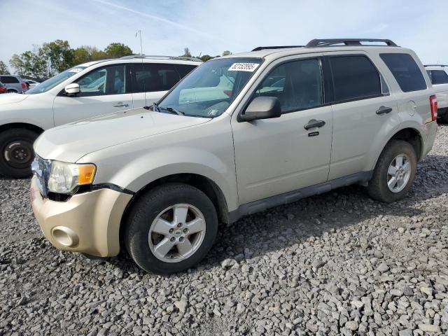 FORD ESCAPE XLT 2009 with VIN 1FMCU93G39KA26202 - Photo from auction