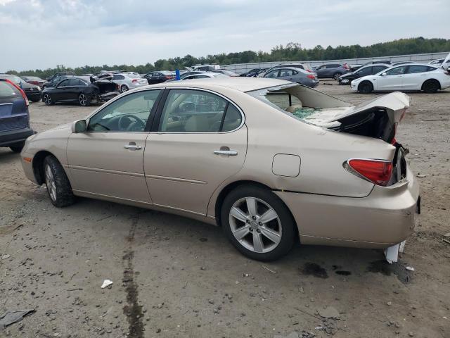 Photo 2 from auction – 2005 LEXUS ES 330 with VIN JTHBA30G055080784