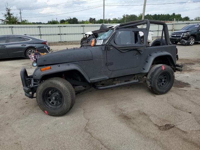 JEEP WRANGLER / 1993 with VIN 1J4FY29S8PP218623 - Photo from auction