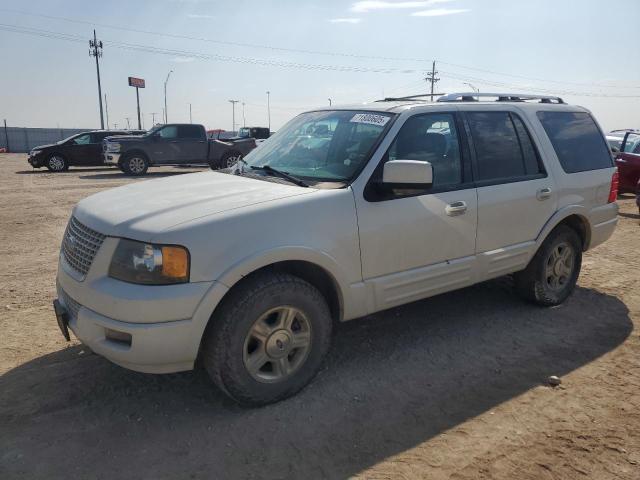 FORD EXPEDITION 2006 with VIN 1FMPU205X6LA25095 - Photo from auction