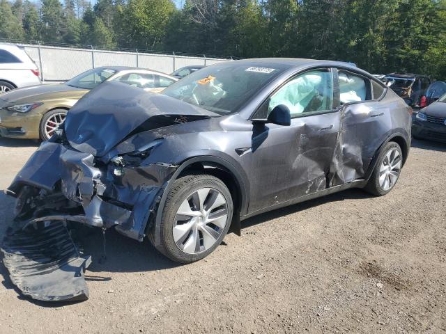 TESLA MODEL Y 2023 with VIN LRWYGDFD1PC071892 - Photo from auction