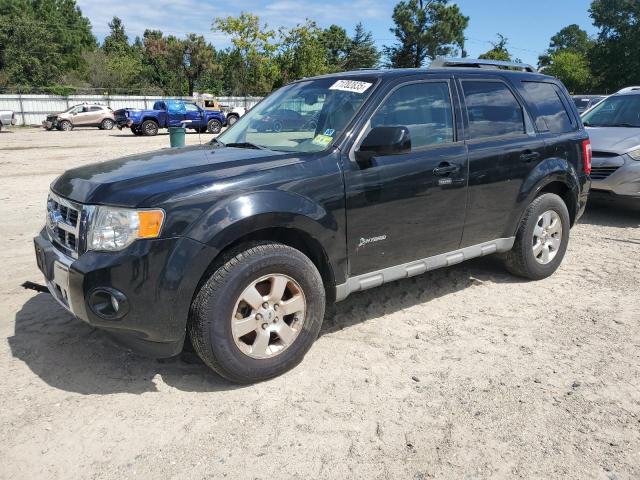 FORD ESCAPE HYB 2009 with VIN 1FMCU59399KB92897 - Photo from auction